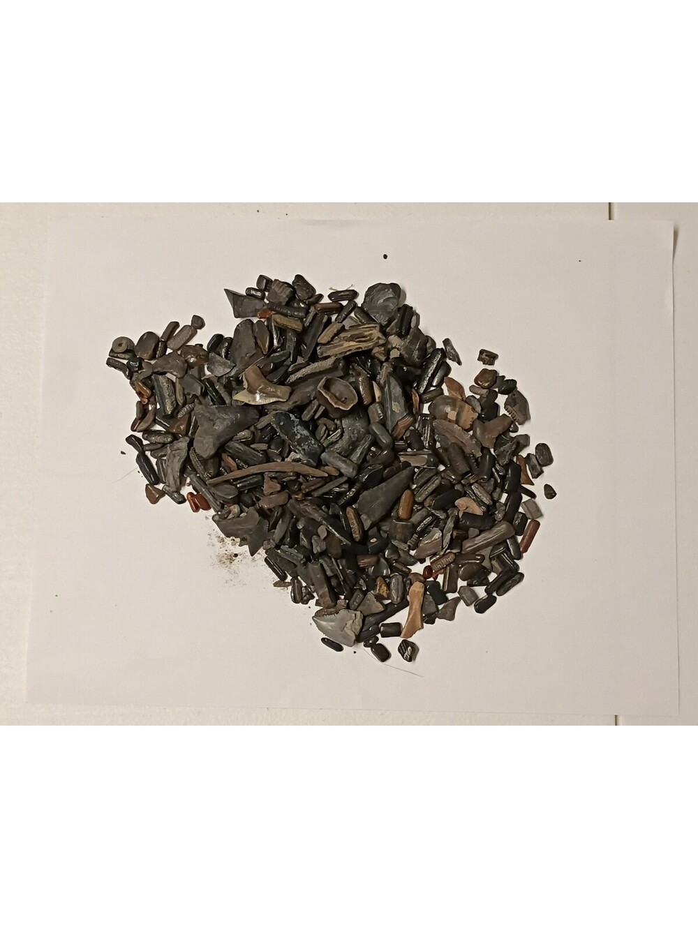 Venice FL Fossil Lot – Shark Teeth, Bone & Marine Mix Collection 100 pc